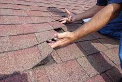 Roof Inspection